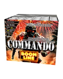 COMMANDO  36 départs
