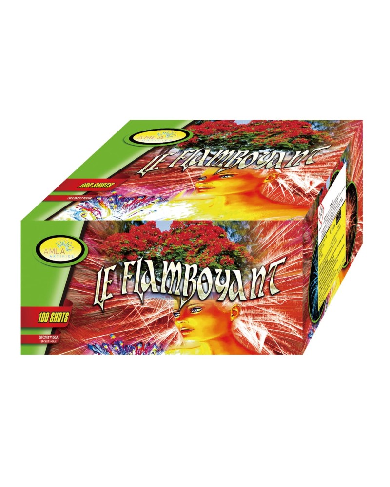 LE FLAMBOYANT  100 départs