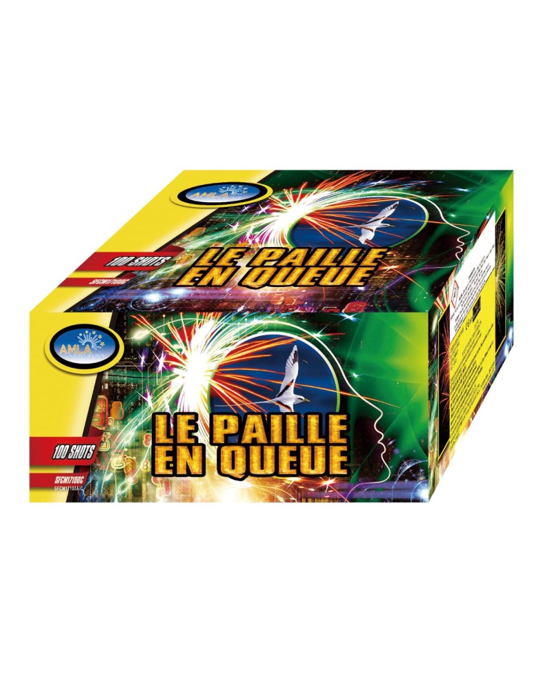 LE PAILLE EN QUEUE  100 départs